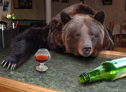 Украинские власти против спаивания медведей в ресторанах