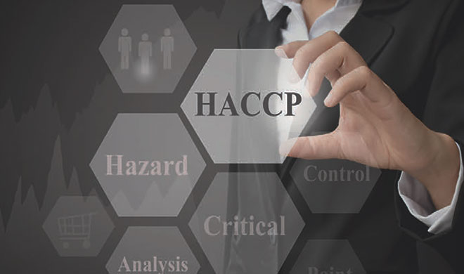 система HACCP