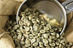 Дефекты в зеленом зерне и их влияние на вкус кофе