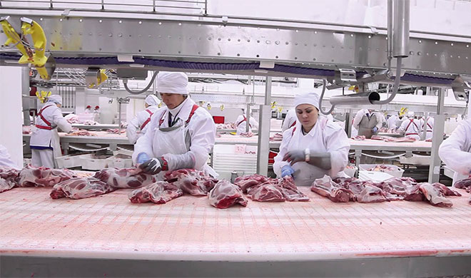 Расширение производства мяса