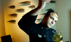 Мишленовский шеф-повар создал меню из планктона