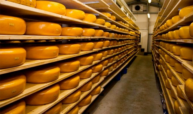 Белорусский сыр осваивает Российский рынок